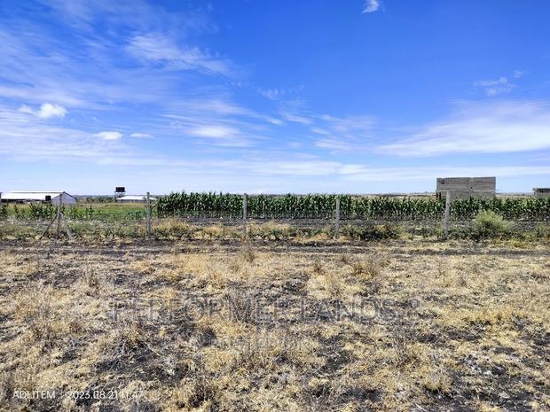 Isinya 50x100 Ready Title Plots At