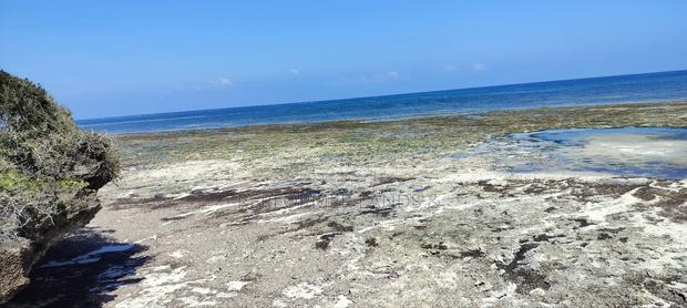 4 Acres Beach 1 in Diani at 46m