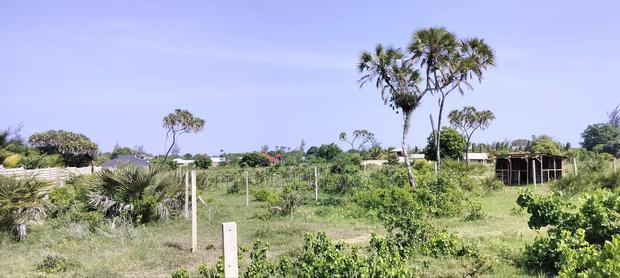 Kombani Kwale Ready Title Plots At