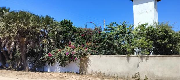 4 Acres Beach 1 in Diani at 46m