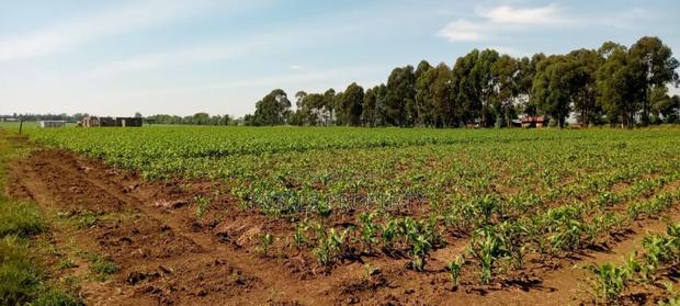 2.3 Acres for Sale in Sobea