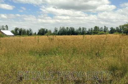 2 Acres for Sale in Tumaini Kabarak