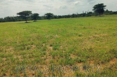Prime 7.5 Acres for Sale