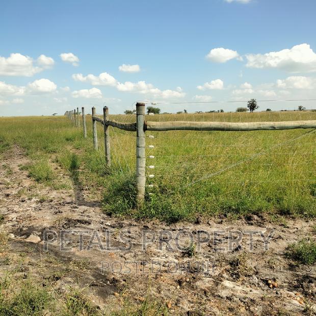 80 Acres for Sale in Kajiado