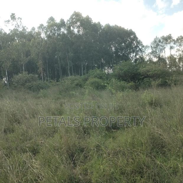 1/4 Plot for Sale in Nazarene