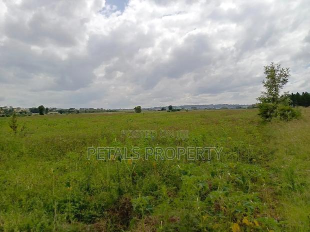 100 Acres in Ngata Sobea Nakuru