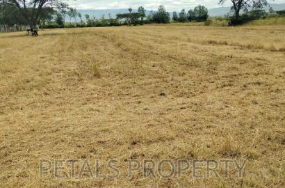 3 Acres for Sale Tumaini Kabarak