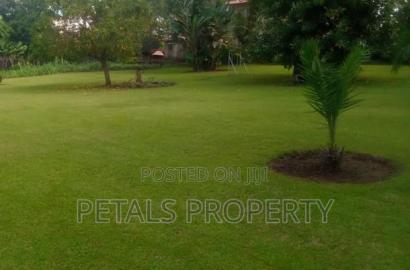 1 Acre for Sale in Milimani Nakuru With a House