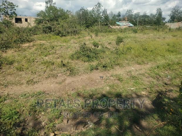 Prime 1/4 Residential Plot for Sale