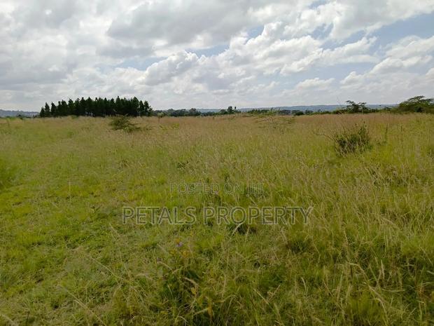 100 Acres in Ngata Sobea Nakuru