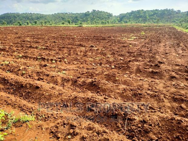 20 Acres for Sale in Molo Sirwet, Mogotio
