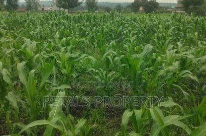1/2 an Acre for Sale in Mercy Njeri