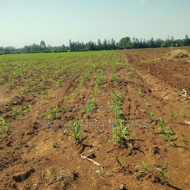 4 Acres for Sale in Kabarak Muhoo Farm