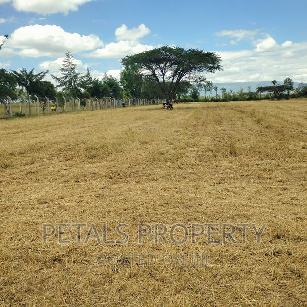 3 Acres for Sale Tumaini Kabarak