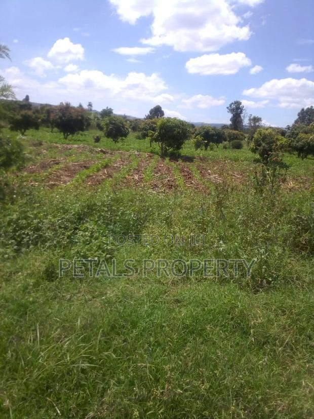 100 Acres in Ngata Sobea Nakuru