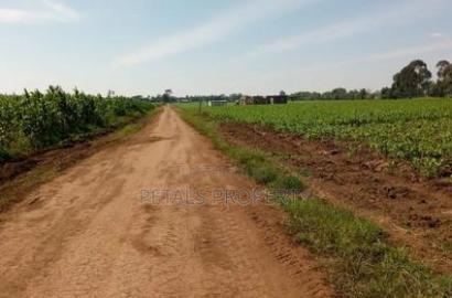 2.3 Acres for Sale in Sobea