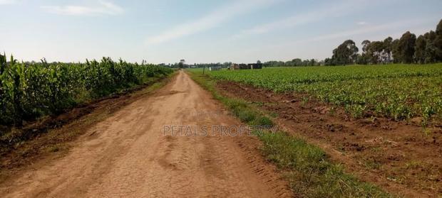 2.3 Acres for Sale in Sobea