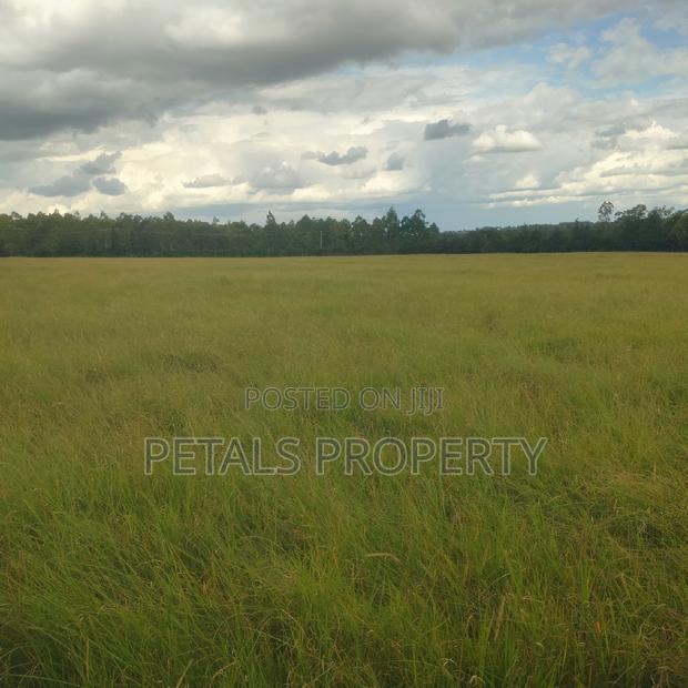 28 Acre Parcel of Land for Sale Kiserian