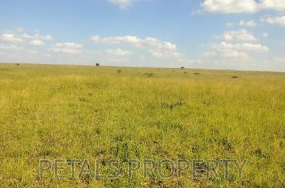 80 Acres for Sale in Kajiado