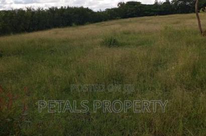 5 Acres for Sale in Birika Pipe Line Road