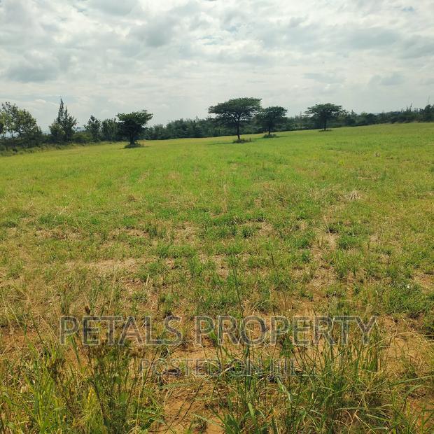 Prime 7.5 Acres for Sale