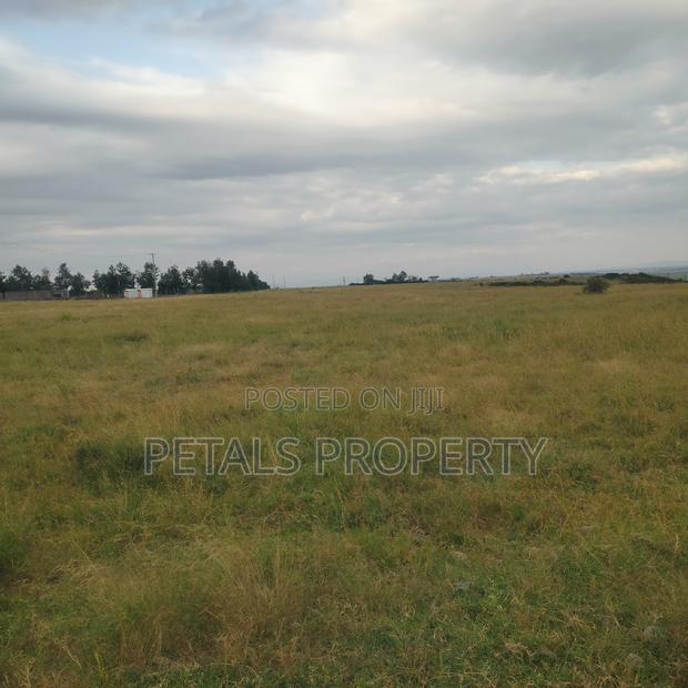 40 Acres for Sale in Pipe Line Road Birika