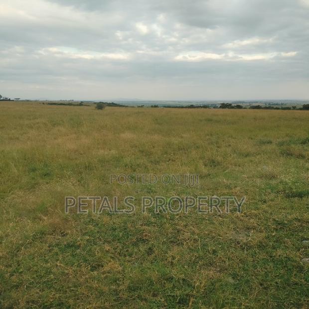 40 Acres for Sale in Pipe Line Road Birika