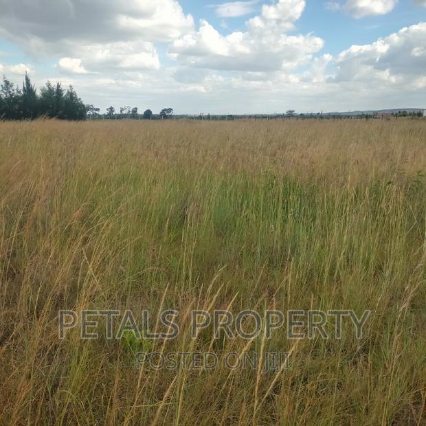 150 Acres for Sale in Masai Mara