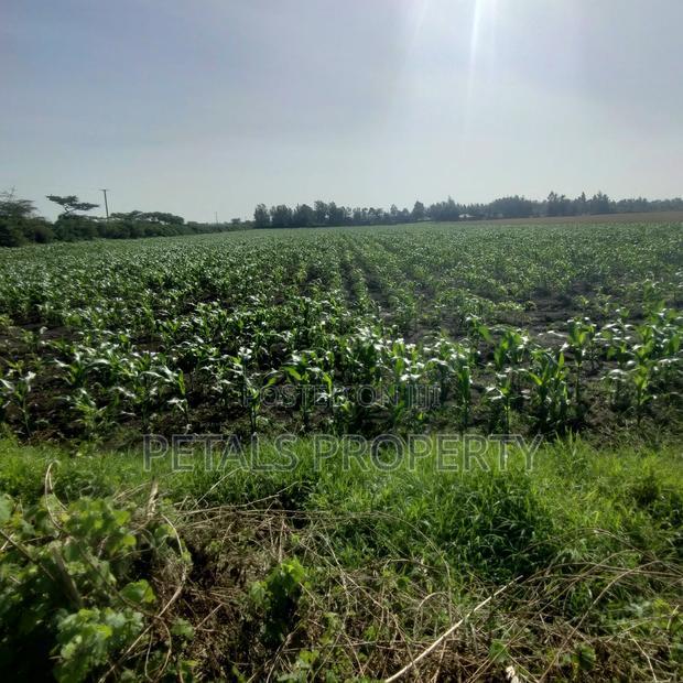 50 Acres for Sale in Kabarak Nakuru