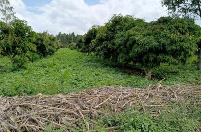 100 Acres in Ngata Sobea Nakuru