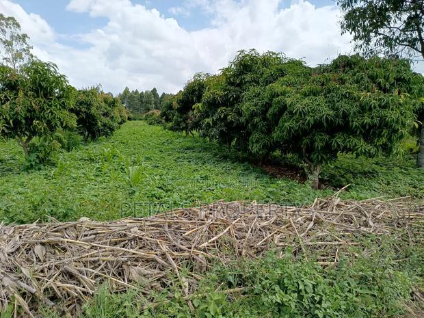 100 Acres in Ngata Sobea Nakuru