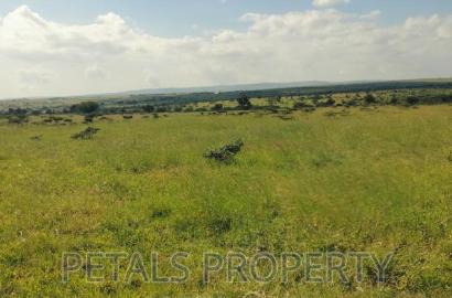 50 Acres for Sale in Kajiado