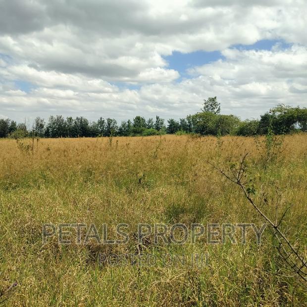 2 Acres for Sale in Tumaini Kabarak