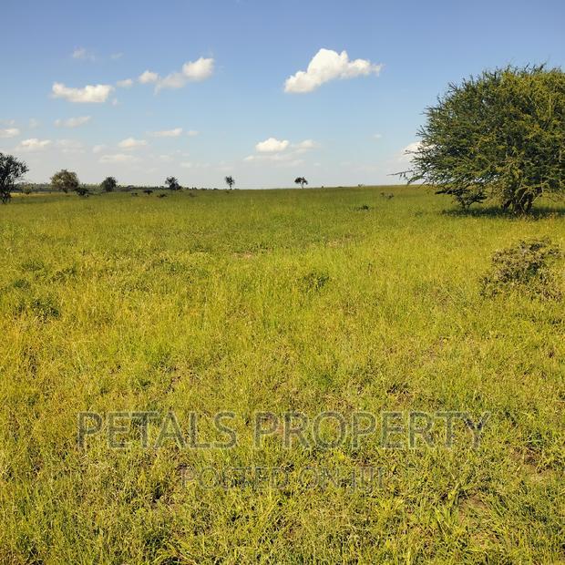 80 Acres for Sale in Kajiado