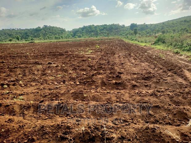 20 Acres for Sale in Molo Sirwet, Mogotio