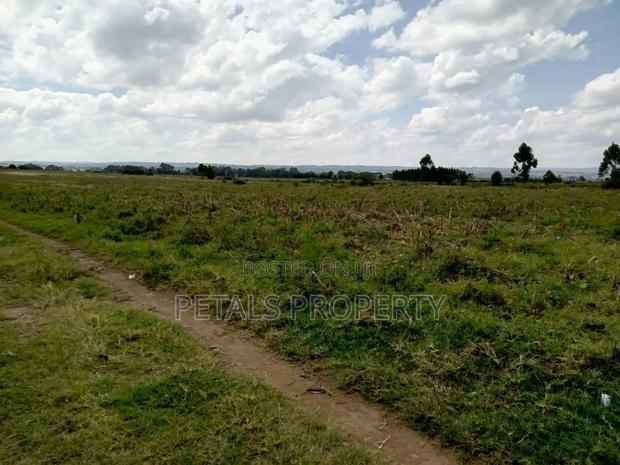 100 Acres in Ngata Sobea Nakuru