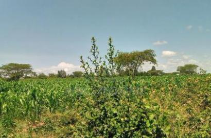 5 Acres for Sale in Kampi Ya Moto Lenginet
