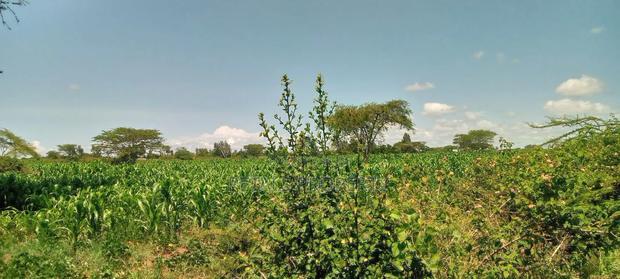 5 Acres for Sale in Kampi Ya Moto Lenginet