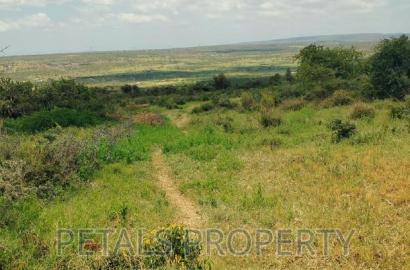 Prime 20 Acres for Sale in Kimuka,Ngong
