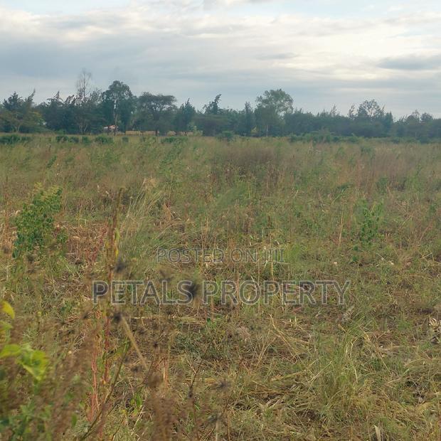 Exclusive 2 Acres for Sale in Chergei Kabarak