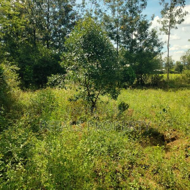 1/2 Acre Plot for Sale in Kabarak Chergei