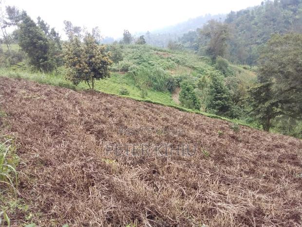 Land for Sale in Gatundu South 8ac With Tea Bushes