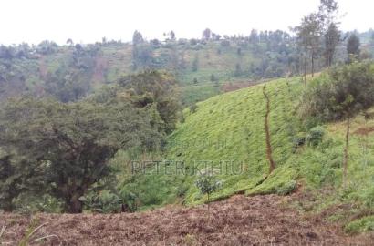 Land for Sale in Gatundu South 8ac With Tea Bushes