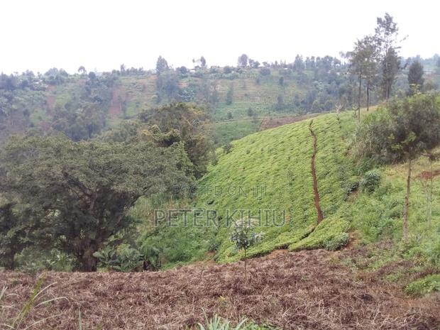 Land for Sale in Gatundu South 8ac With Tea Bushes