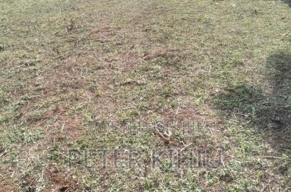 Karen Hardy 1ac Plot for Sale