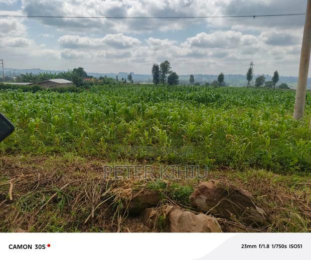 Redhill 1.8ac Near Tropical Heat Company