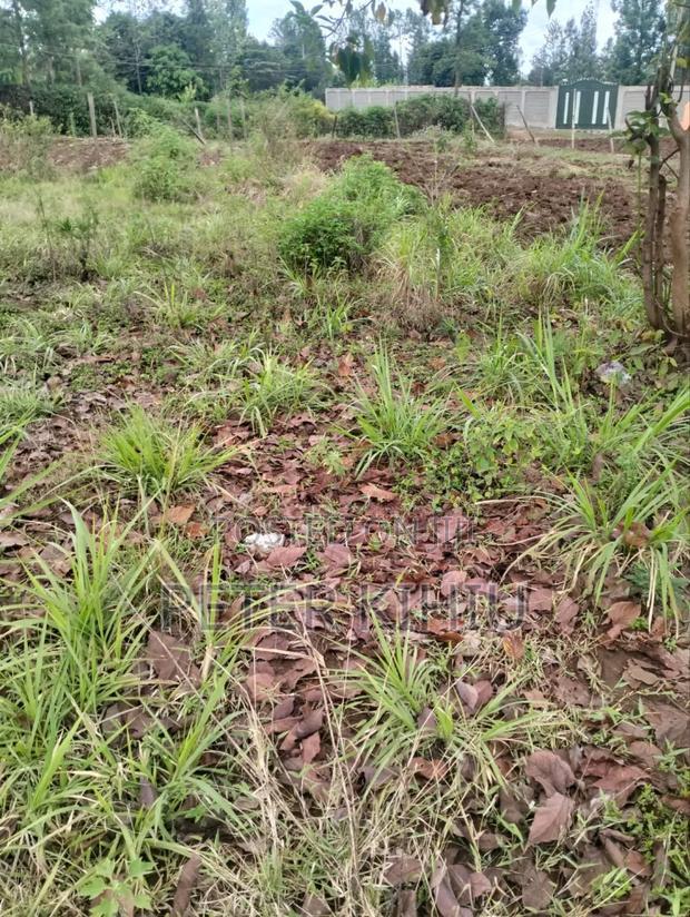 Kenol Town 1/8th Commercial/Residential PLT