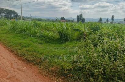 Redhill 1.8ac Near Tropical Heat Company