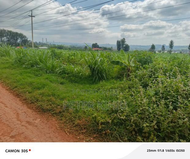 Redhill 1.8ac Near Tropical Heat Company