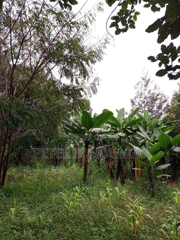 Prime Land on Sale 1/4 Acre Ruaka